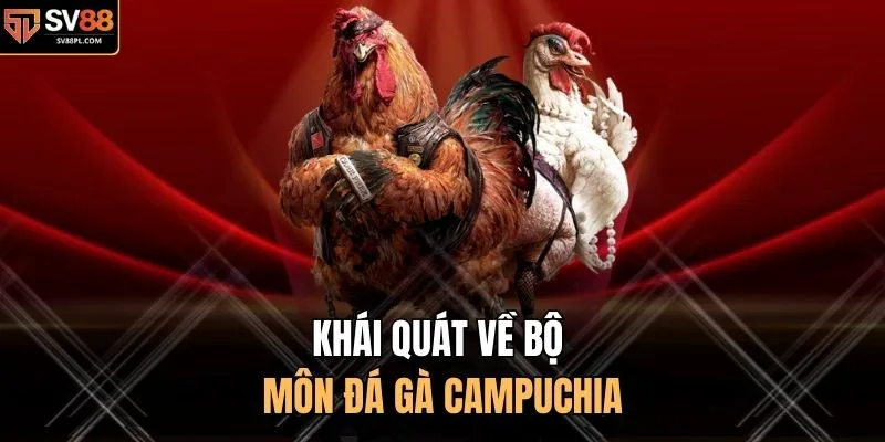 Khái quát về bộ môn đá gà Campuchia